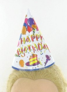 PARTY HATS (12 pcs)