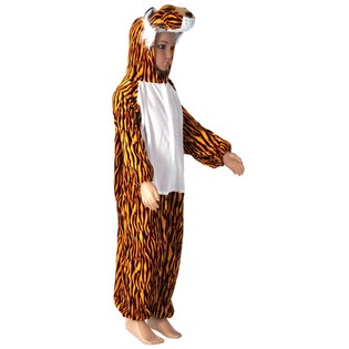 Tiger Costume for Kids – Size 6