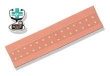 1507793731